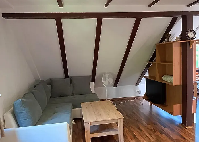 Guest House - Stari Javor B&B