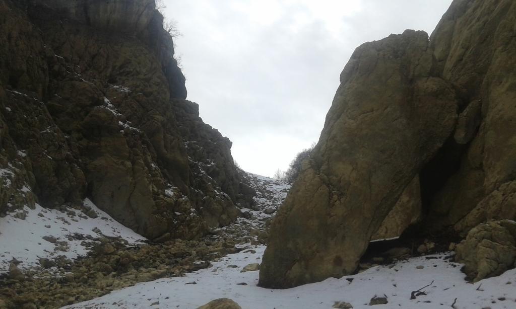 - Stari Javor Prozor