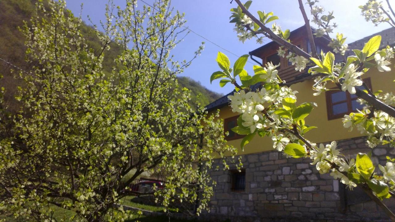 Apartment - Stari Javor Prozor